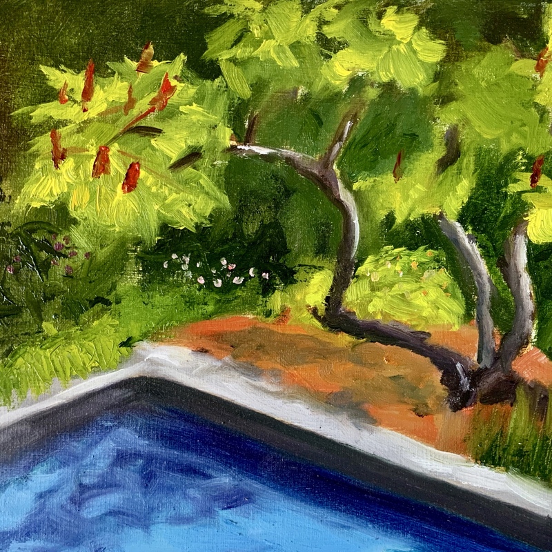 Staghorn Sumac Staghorn Sumac